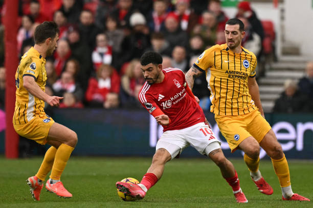 周鹏的全面 周鹏的全面