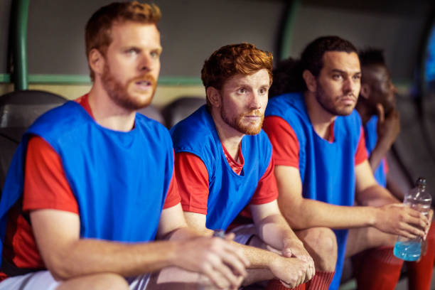 引了无数年 引了无数年